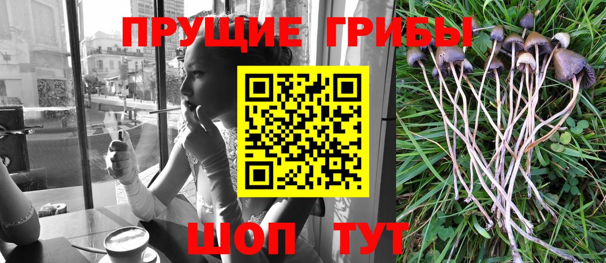 Псилоцибиновые грибы прущие грибы  Вход с VPN  Ликино-Дулёво 